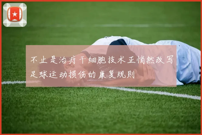 不止是治疗干细胞技术正悄然改写足球运动损伤的康复规则